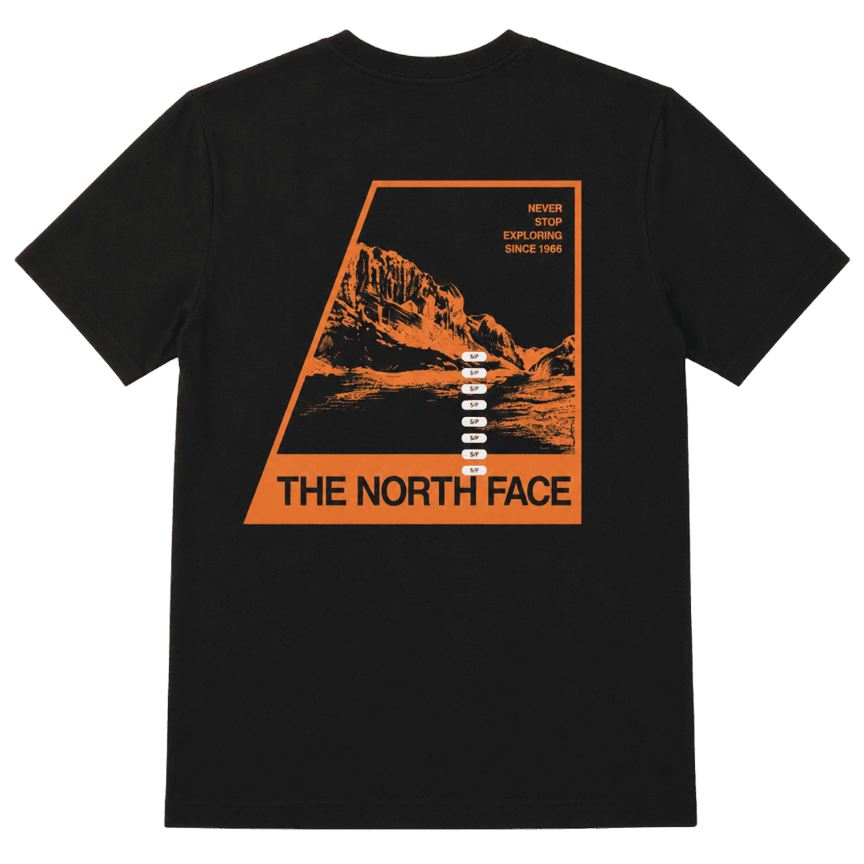 THE NORTH FACE MEN'S SIMPLE