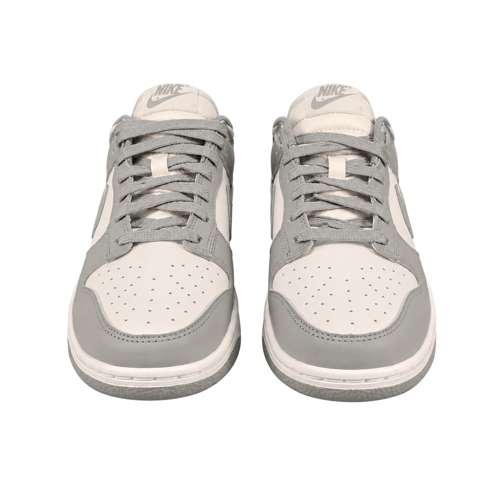 NIKE DUNK LOW RETRO