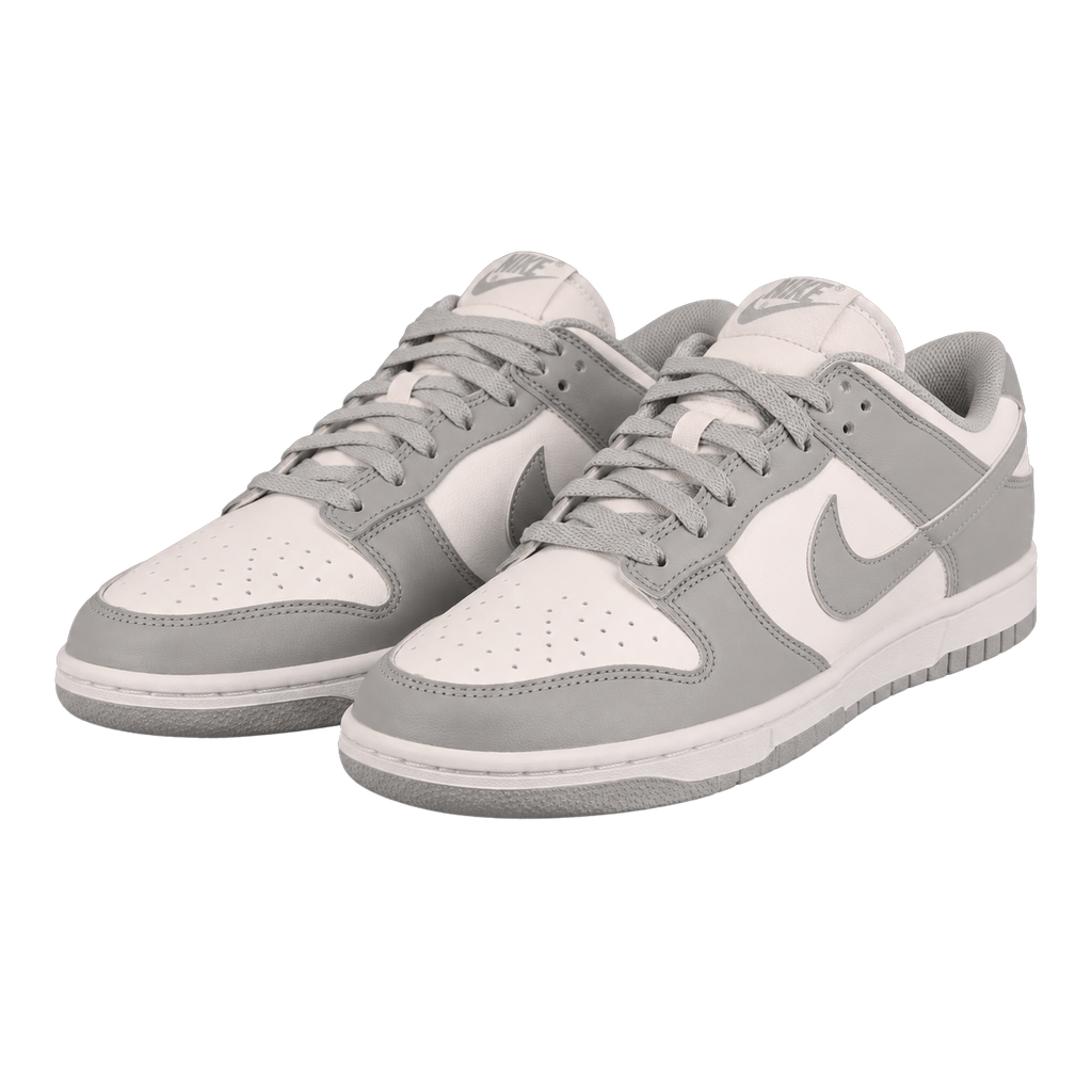 NIKE DUNK LOW RETRO