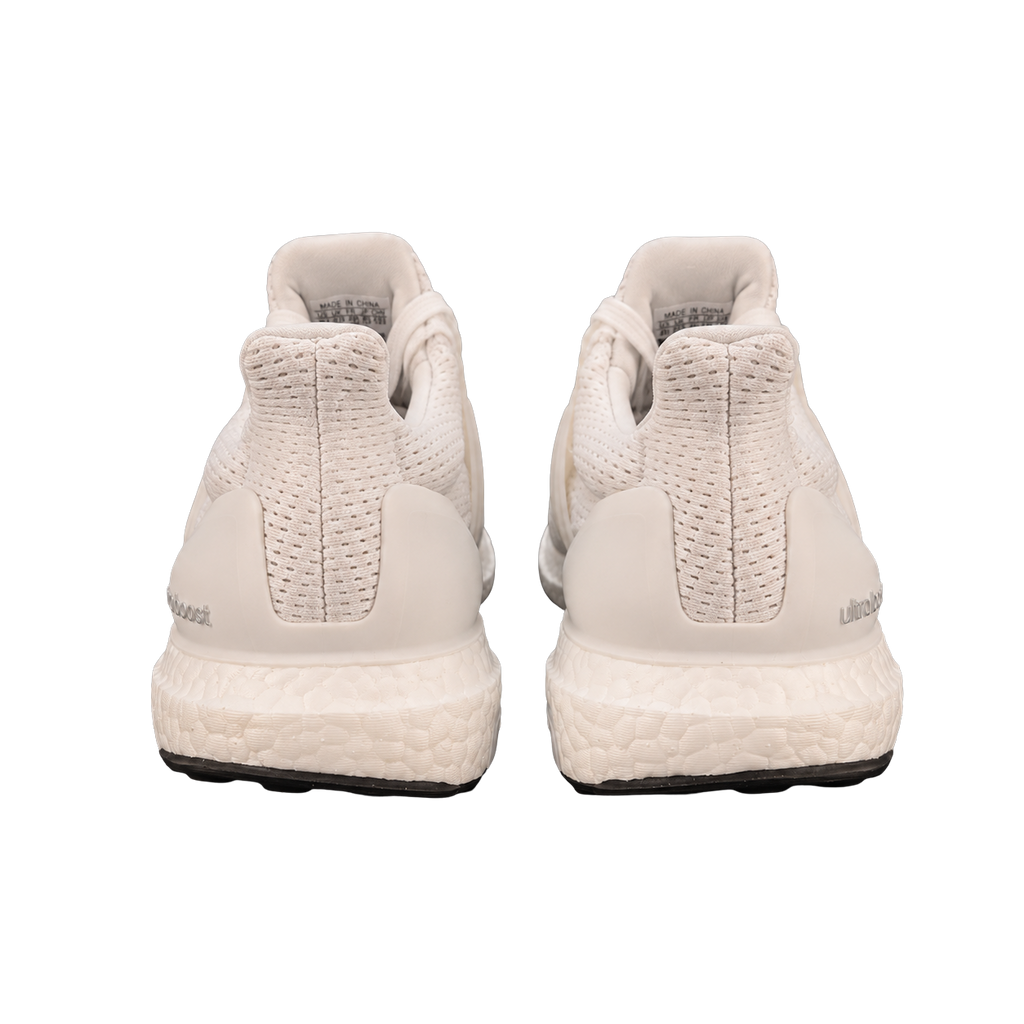 ADIDAS ULTRABOOST 1.0 DNA