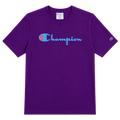 CHAMPION HERITAGE SCRIPT
