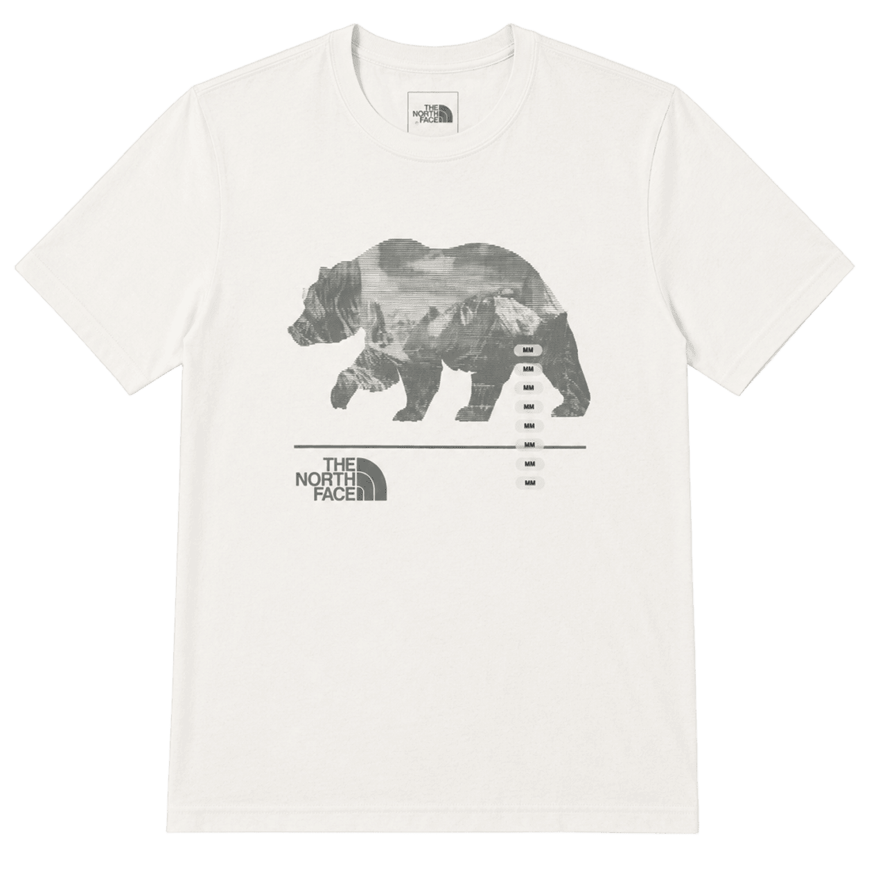 THE NORTH FACE MEN'S BEARSCAPE